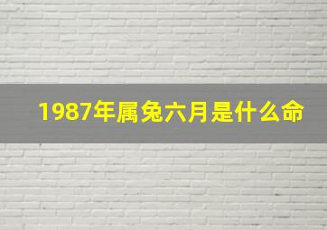 1987年属兔六月是什么命