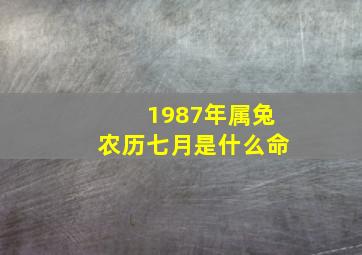 1987年属兔农历七月是什么命