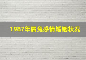 1987年属兔感情婚姻状况