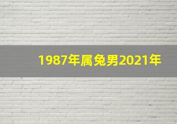 1987年属兔男2021年