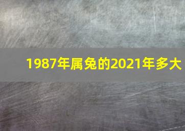 1987年属兔的2021年多大