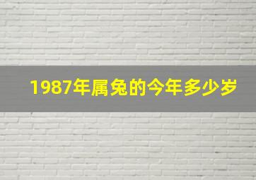 1987年属兔的今年多少岁