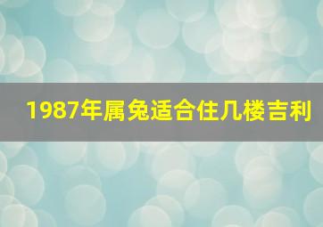 1987年属兔适合住几楼吉利