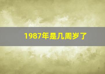 1987年是几周岁了