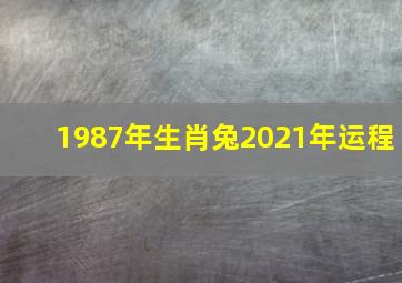 1987年生肖兔2021年运程