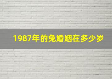 1987年的兔婚姻在多少岁