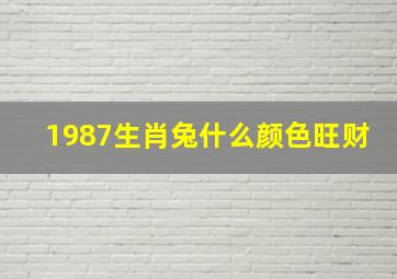 1987生肖兔什么颜色旺财