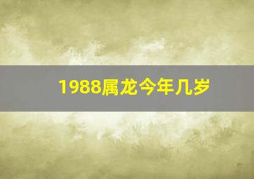 1988属龙今年几岁