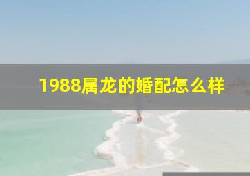 1988属龙的婚配怎么样