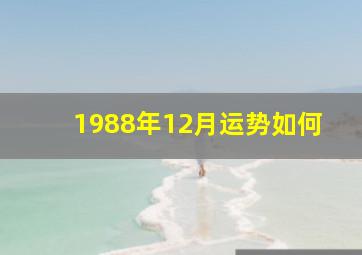 1988年12月运势如何