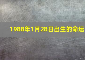 1988年1月28日出生的命运