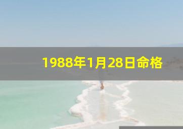 1988年1月28日命格