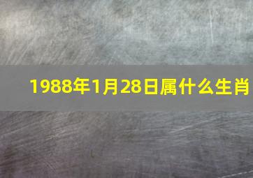 1988年1月28日属什么生肖