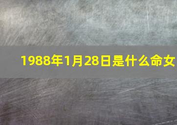 1988年1月28日是什么命女