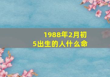 1988年2月初5出生的人什么命