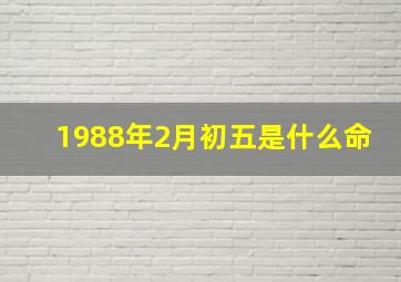 1988年2月初五是什么命