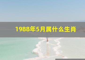 1988年5月属什么生肖