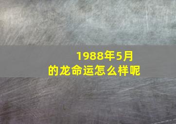 1988年5月的龙命运怎么样呢