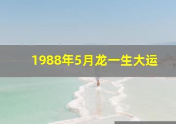 1988年5月龙一生大运