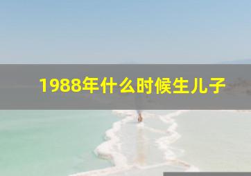 1988年什么时候生儿子