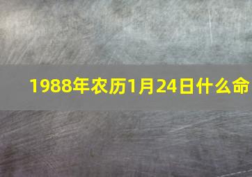 1988年农历1月24日什么命