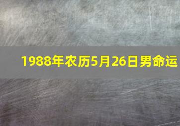 1988年农历5月26日男命运