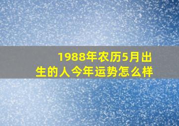 1988年农历5月出生的人今年运势怎么样