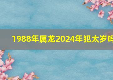 1988年属龙2024年犯太岁吗