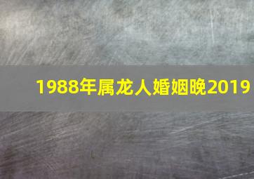 1988年属龙人婚姻晚2019