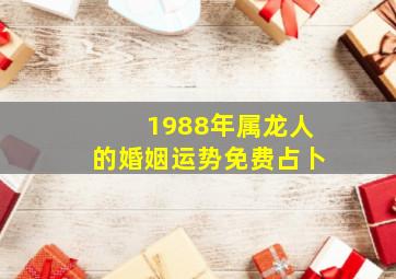 1988年属龙人的婚姻运势免费占卜