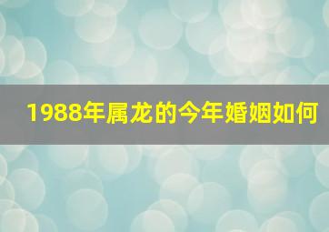 1988年属龙的今年婚姻如何