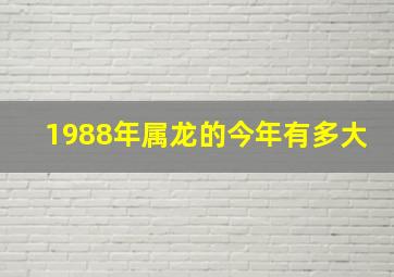 1988年属龙的今年有多大