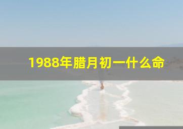 1988年腊月初一什么命