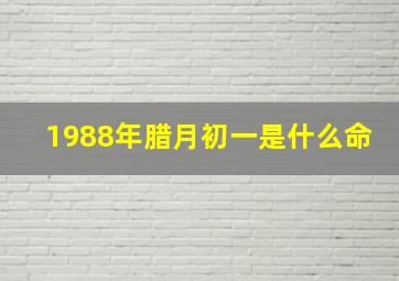 1988年腊月初一是什么命