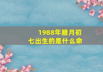 1988年腊月初七出生的是什么命