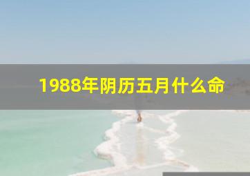 1988年阴历五月什么命