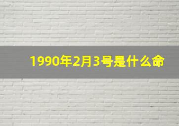 1990年2月3号是什么命