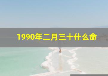 1990年二月三十什么命