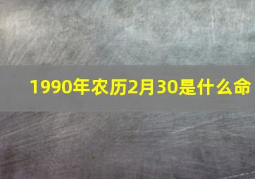 1990年农历2月30是什么命