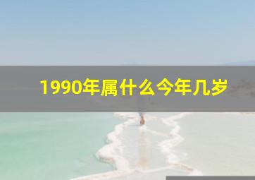 1990年属什么今年几岁