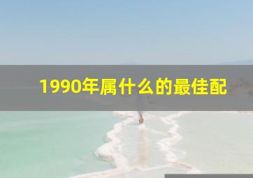 1990年属什么的最佳配