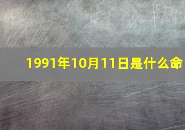 1991年10月11日是什么命