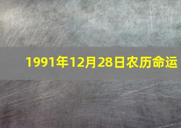 1991年12月28日农历命运