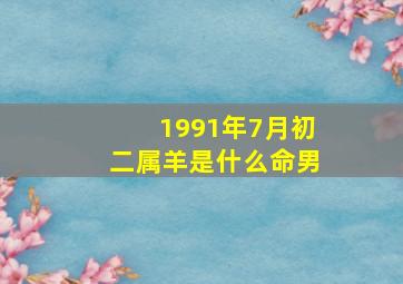 1991年7月初二属羊是什么命男