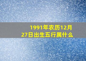 1991年农历12月27日出生五行属什么