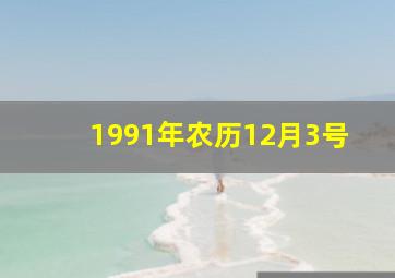 1991年农历12月3号