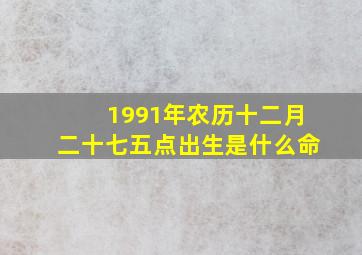 1991年农历十二月二十七五点出生是什么命