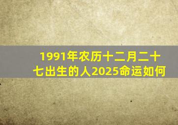 1991年农历十二月二十七出生的人2025命运如何