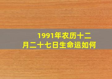 1991年农历十二月二十七日生命运如何