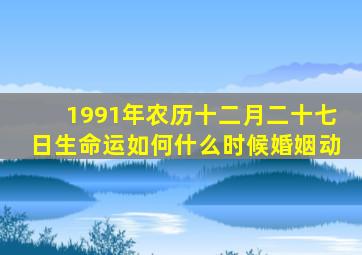 1991年农历十二月二十七日生命运如何什么时候婚姻动